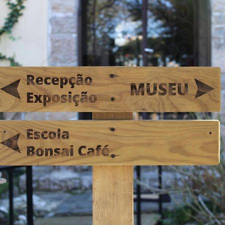 Zen Guest House - Museu Do Bonsai Sintra Exterior photo