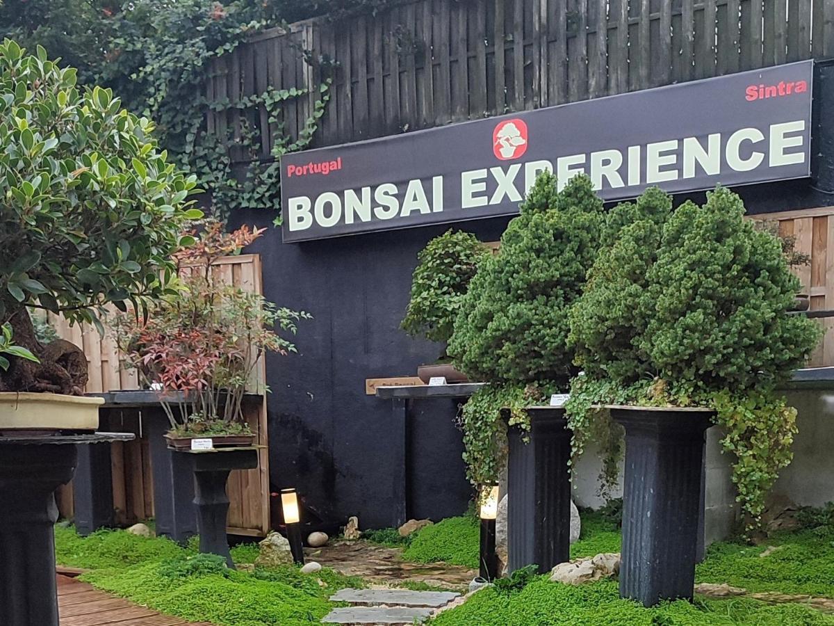 Zen Guest House - Museu Do Bonsai Sintra Exterior photo